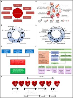 Preventive Cardio-Oncology: The Time Has Come
